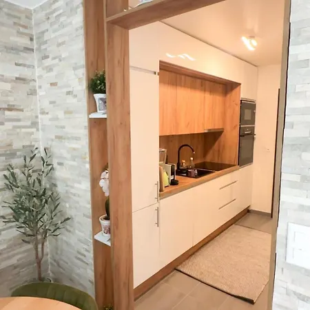 Moderne Et Spacieux Avec 2 Belles Terrasses Vu Sur Montagne Apartment