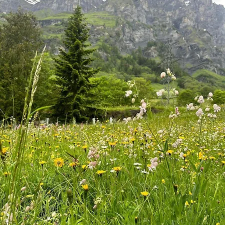 Lejlighed Moderne Et Spacieux Avec 2 Belles Terrasses Vu Sur Montagne