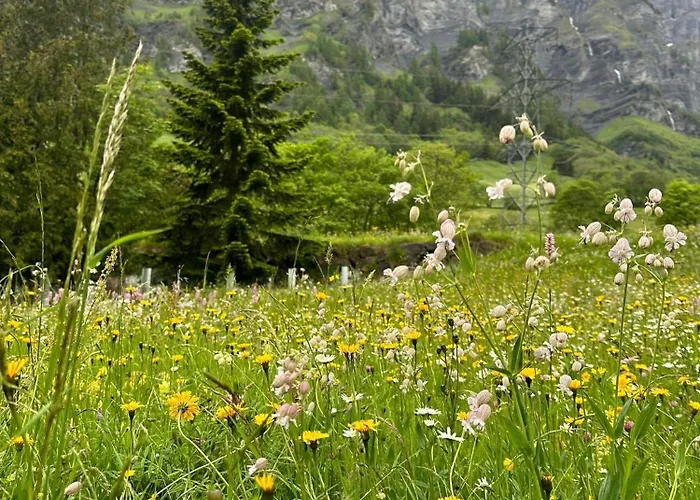 Lägenhet Moderne Et Spacieux Avec 2 Belles Terrasses Vu Sur Montagne